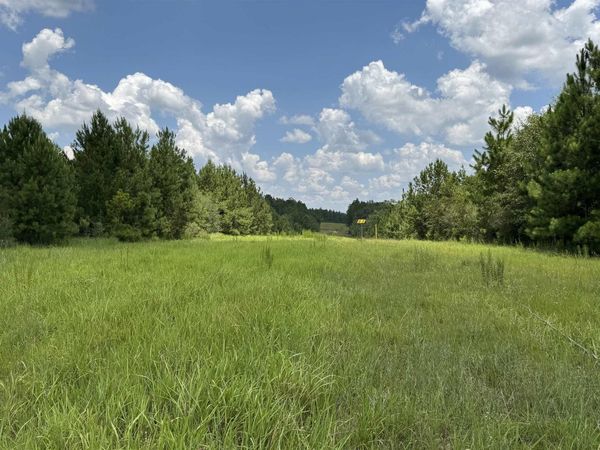 0 Bluett Tanner Road, Wilmer, AL 36587