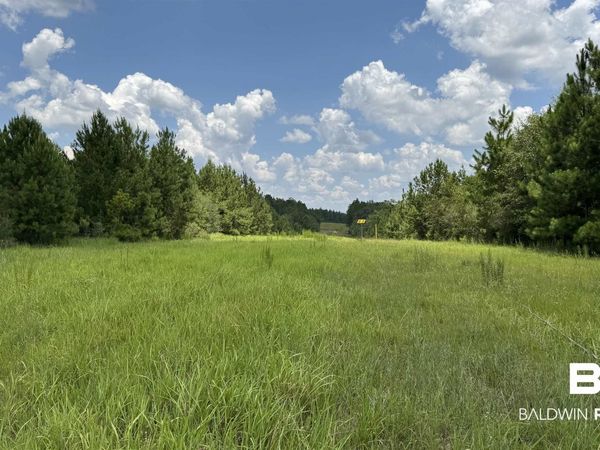 0 Bluett Tanner Road, Wilmer, AL 36587