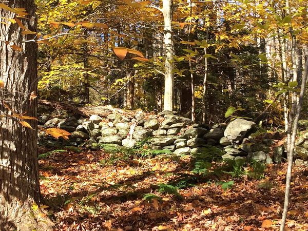 540 Shampeny Hill Road, Hancock, VT 05748