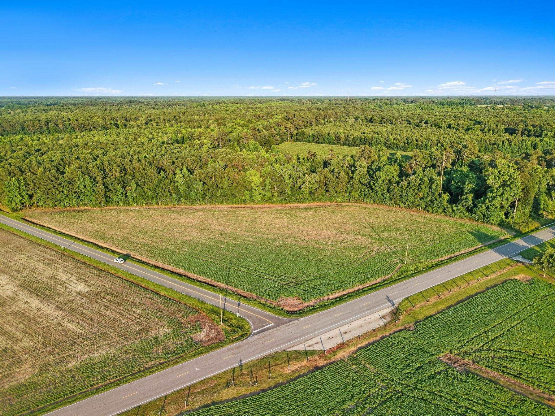 Tbd 6 Ac Highway 76 Photo 14
