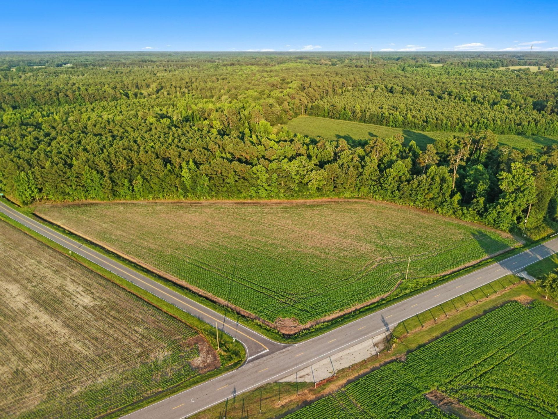 Tbd 6 Ac Highway 76 Photo 6