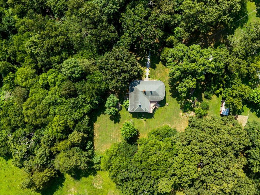 Property Image 59