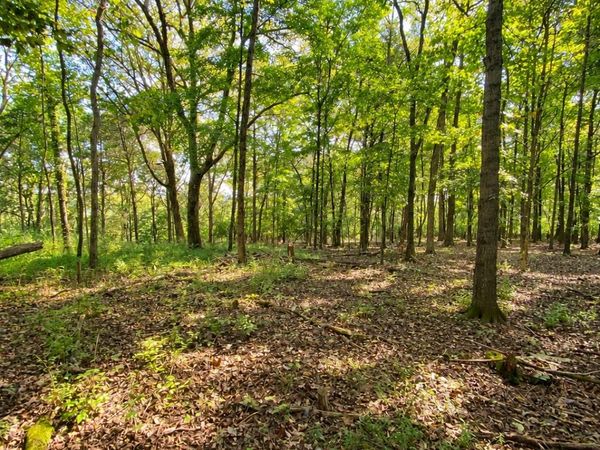 0 Pawnee Trail, Unit 24-26, Madison, TN 37115