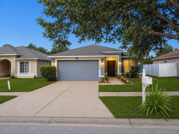 3012 SUMMER HOUSE DRIVE , VALRICO, FL 33594