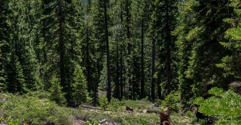 3090 River Road, Olympic Valley, CA 96146 Photo