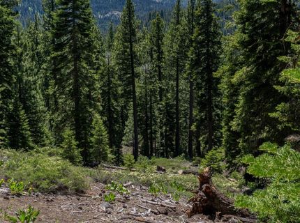 3090 River Road, Olympic Valley, CA 96146 Photo
