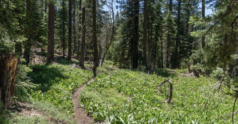 3090 River Road, Olympic Valley, CA 96146 Photo