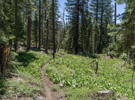 3090 River Road, Olympic Valley, CA 96146 Photo