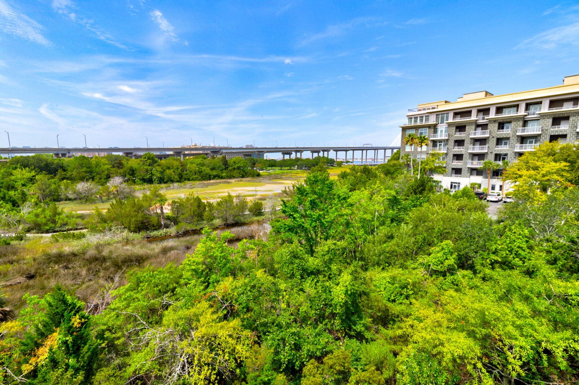 238 Cooper River Drive Photo 7