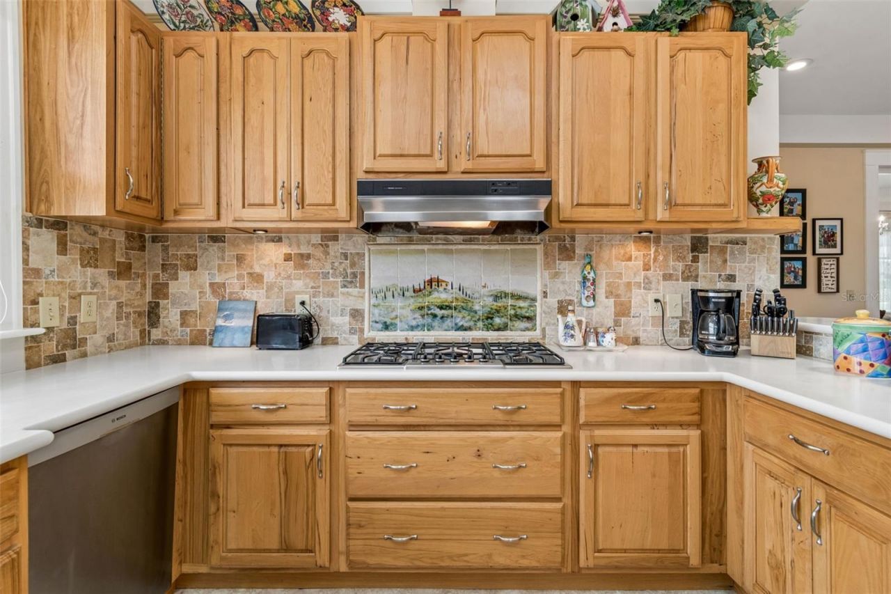 703 N Evers Street, Plant City, FL 33563 Photo