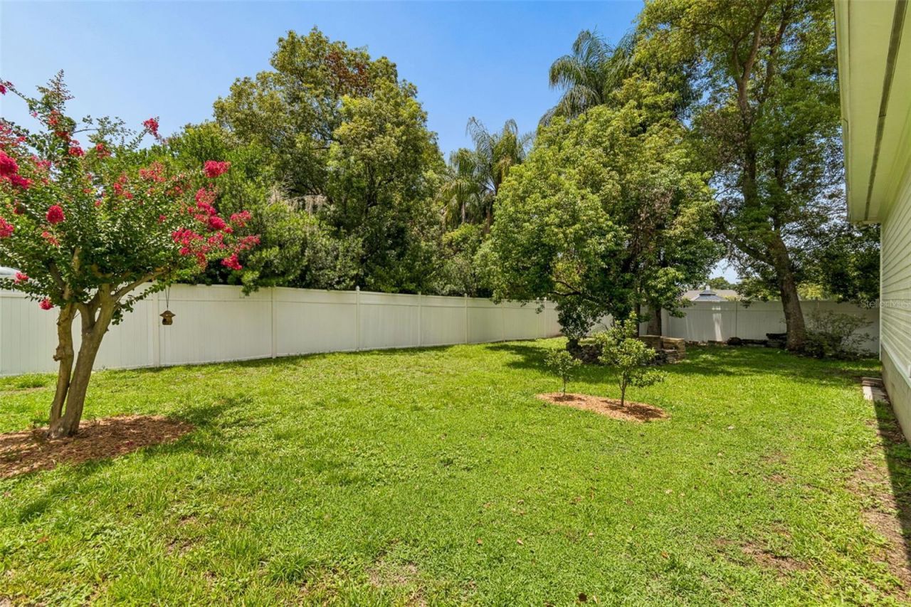 703 N Evers Street, Plant City, FL 33563 Photo