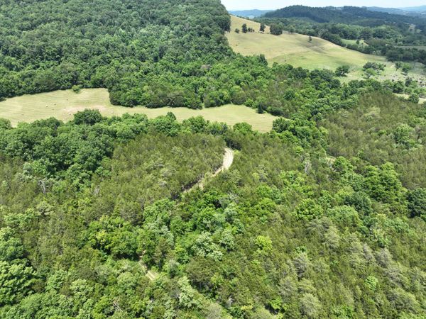0 Hwy 131 (Mountain Valley Rd), Thorn Hill, TN 37881