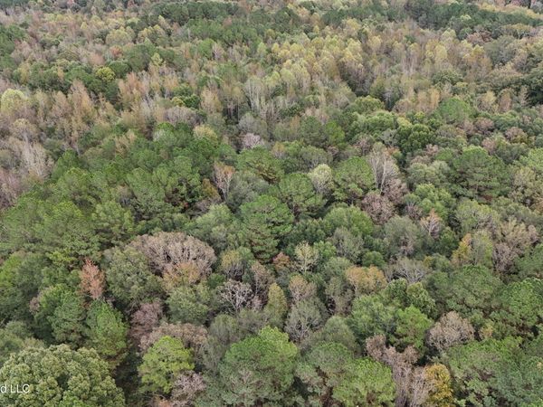 Remus Road, Carthage, MS 39051