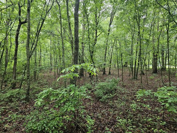 2411 Sr 56 Road, Tracy City, TN 37387