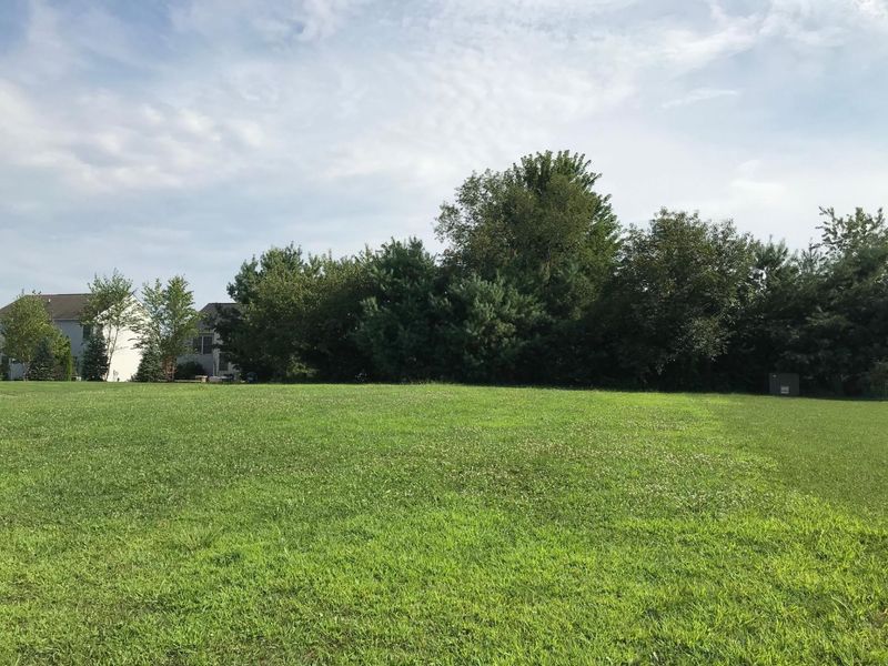 2178 Alum Crossing Drive, Lewis Center, OH 43035 Photo 5