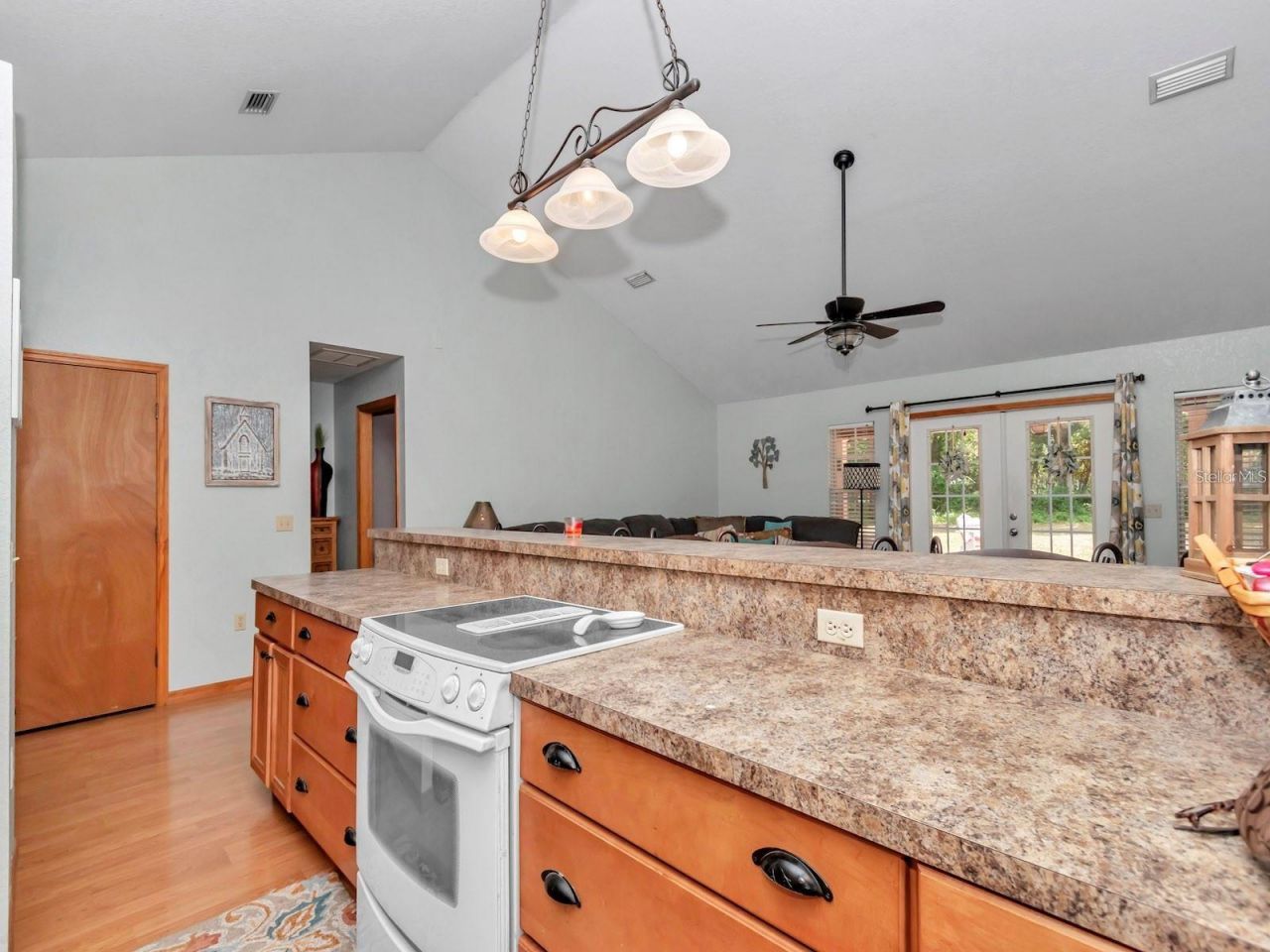 23608 NE 124th Place Road, Fort Mc Coy, FL 32134 Photo