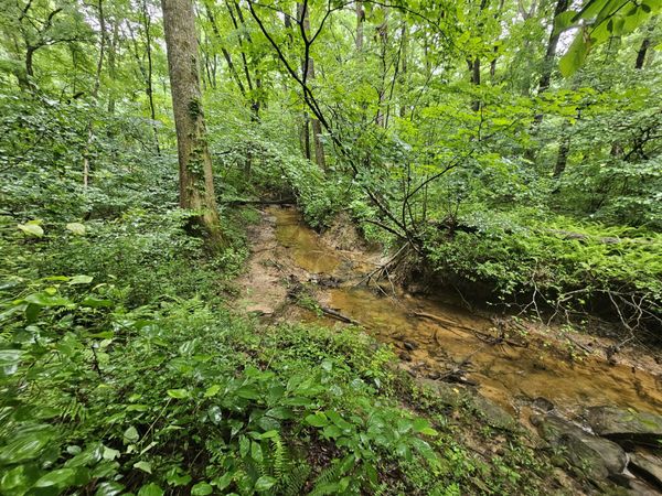 2411 Sr 56 Road, Tracy City, TN 37387