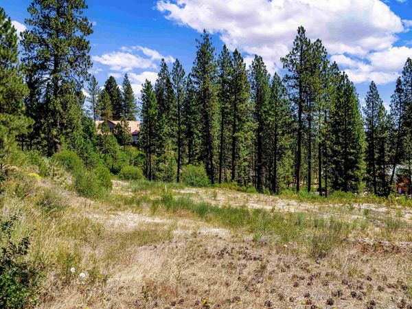 Lot 22 Bavarian Village, Idaho City, ID 83631