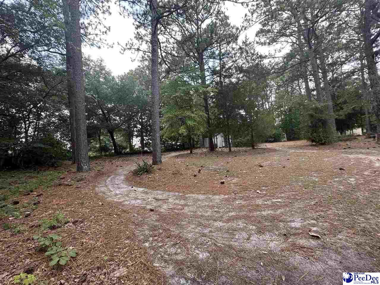1018 N Rolling Rd Photo 4