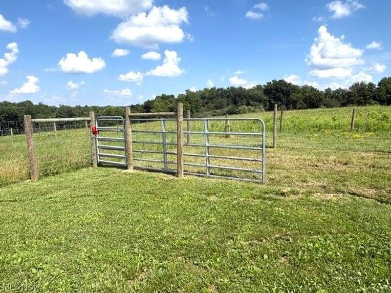 16167 Echo Valley Road, Wellsville, OH 43968 Photo 35