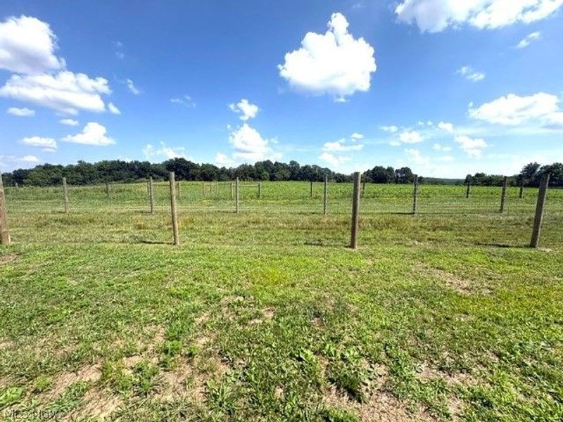 16167 Echo Valley Road, Wellsville, OH 43968 Photo 37