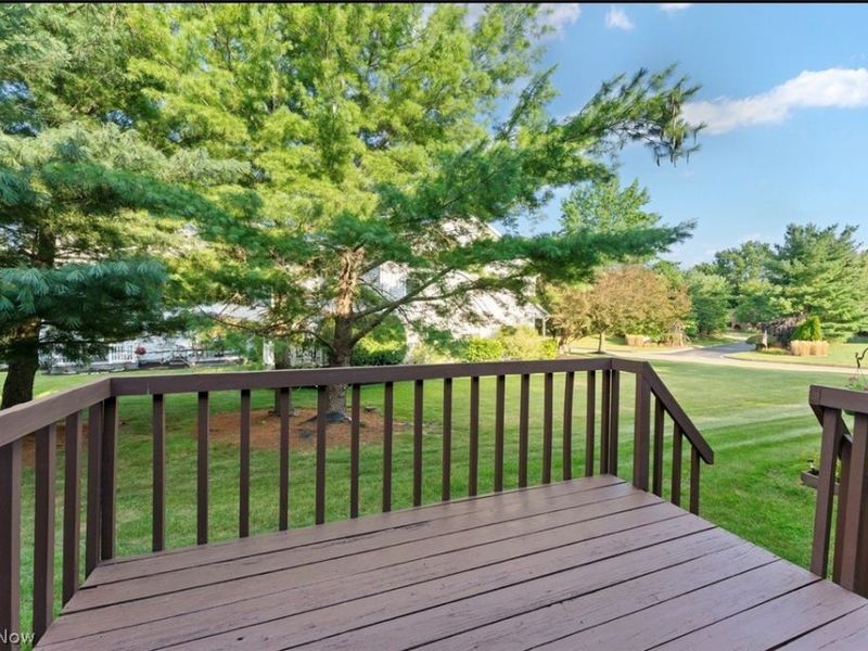 3776 Mercedes Place, Canfield, OH 44406 Photo 12