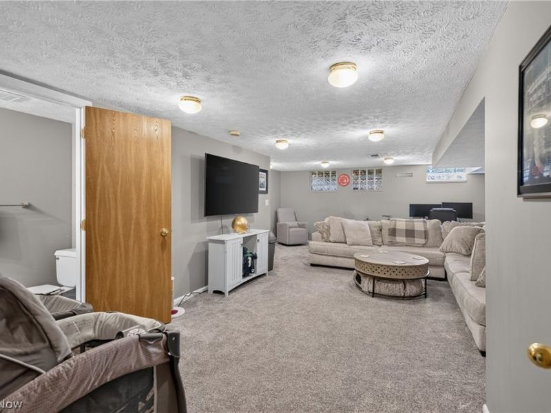 3776 Mercedes Place, Canfield, OH 44406 Photo 29