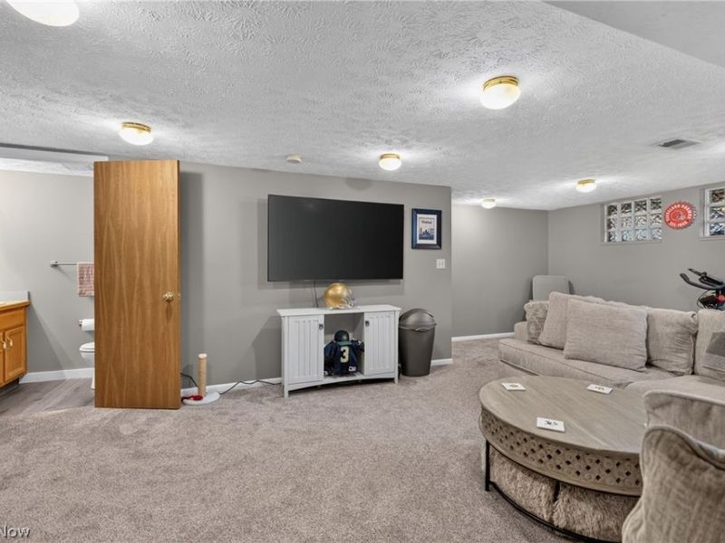 3776 Mercedes Place, Canfield, OH 44406 Photo 36