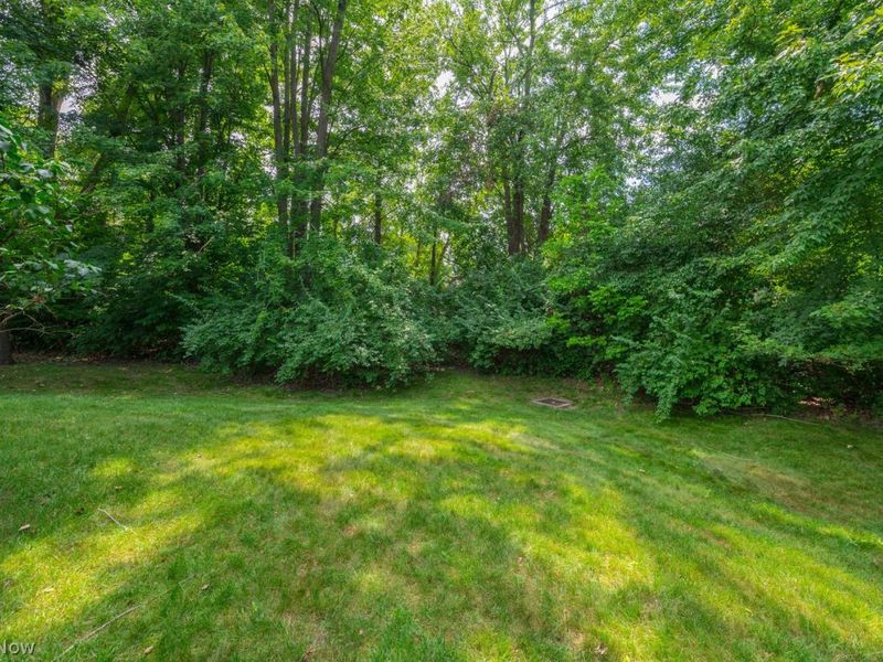 2442 Halifax Court, Avon, OH 44011 Photo 44
