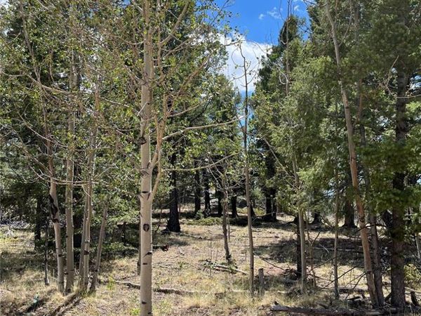 506 Castle Mountain Drive, Guffey, CO 80820