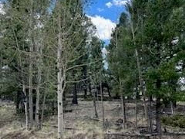 506 Castle Mountain Drive, Guffey, CO 80820