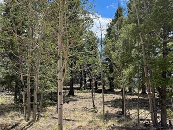 506 Castle Mountain Drive, Guffey, CO 80820