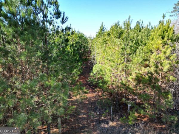 0 Jaudon Road, Unit (30.03 ACR, Elberton, GA 30635