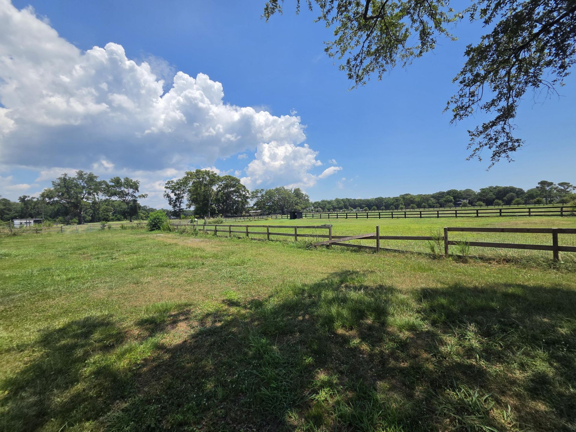 2510 Brewton Photo 6
