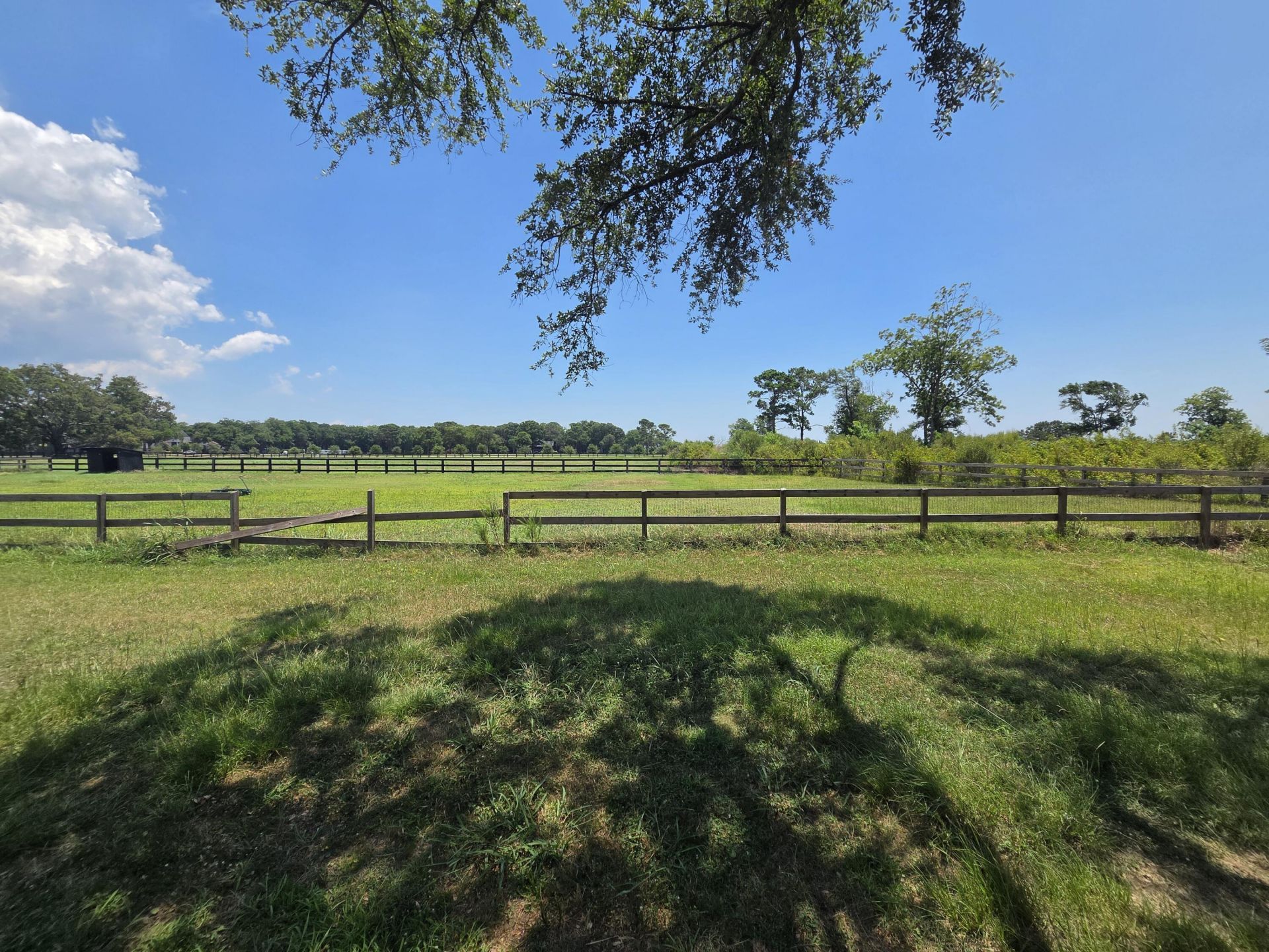 2510 Brewton Photo 7
