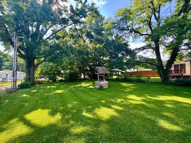 20 S Hamilton Street, Monroeville, OH 44847 Photo 10