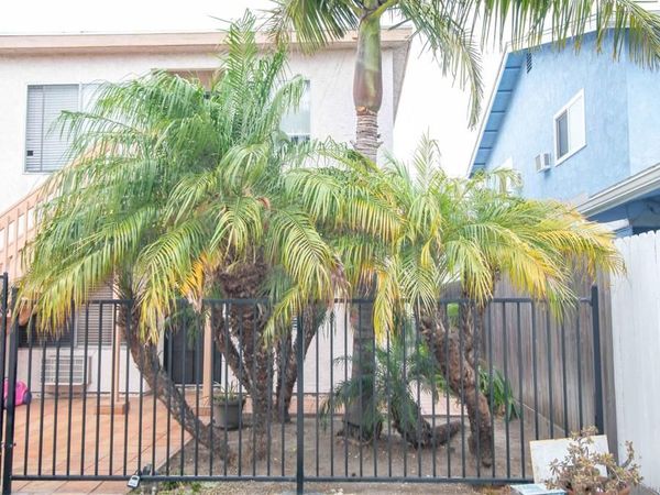 3511 Herman Ave., San Diego, CA 92104