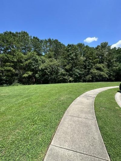 1238 Cosmos Road Photo 34