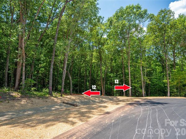 6220 Pineside Drive , Denver, NC 28037