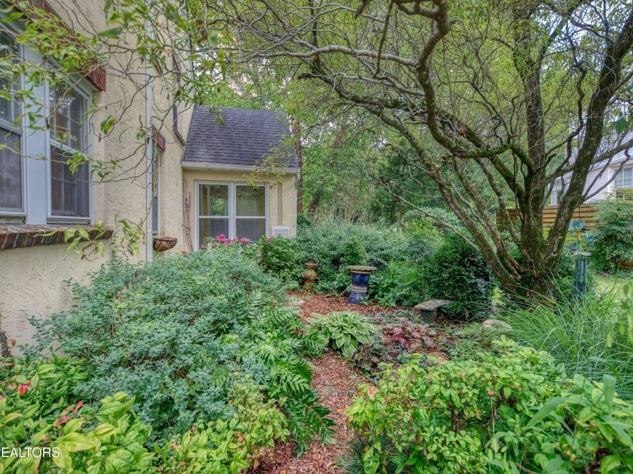 Property Image 54