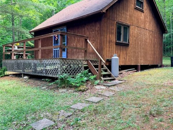 1667 Coon Hollow Road, Beaver Dams, NY 14812