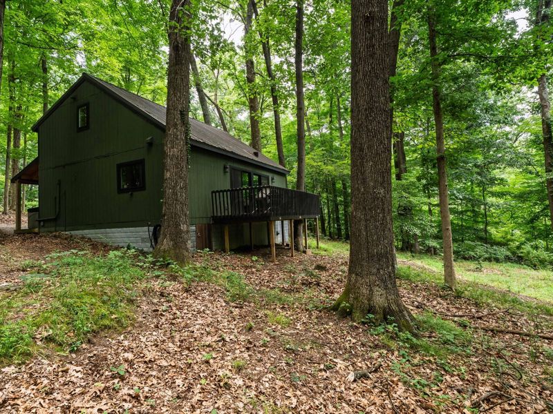 12681 Trillium Way, Rockbridge, OH 43149 Photo 37