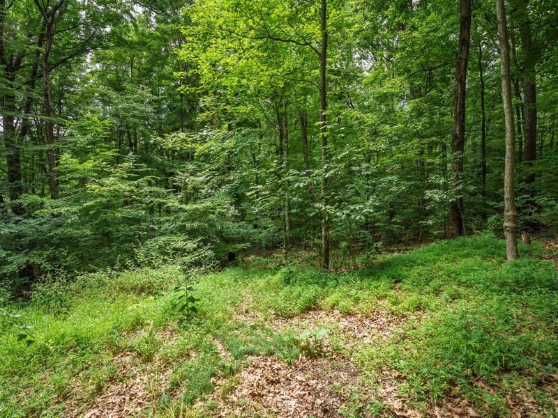 12681 Trillium Way, Rockbridge, OH 43149 Photo 38