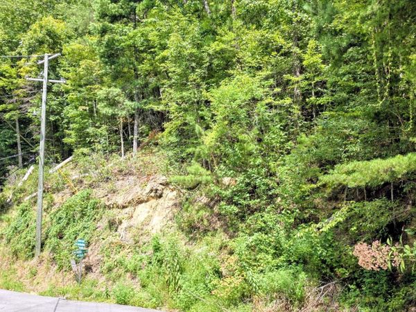 Lot 1 Black Walnut Flats Rd, Sevierville, TN 37862