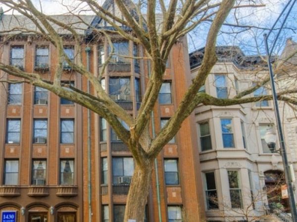 1430 N Dearborn Parkway , Unit 308, Chicago, IL 60610