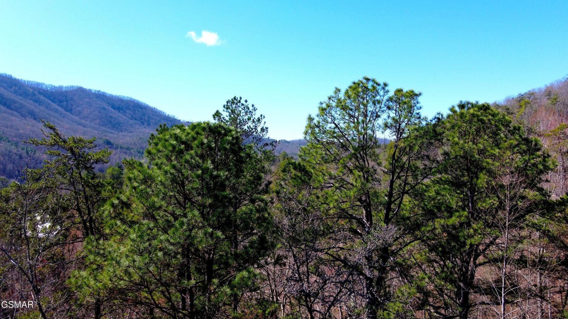 4 Walden Ridge Road, Lot #4, Sevierville, TN 37862 Main Photo