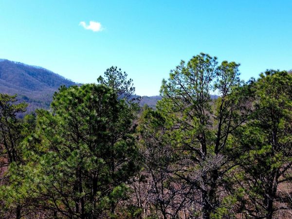 4 Walden Ridge Road, Unit 4, Sevierville, TN 37862