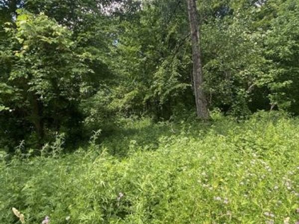Lot 27C Pennie Lane, Stow, MA 01775
