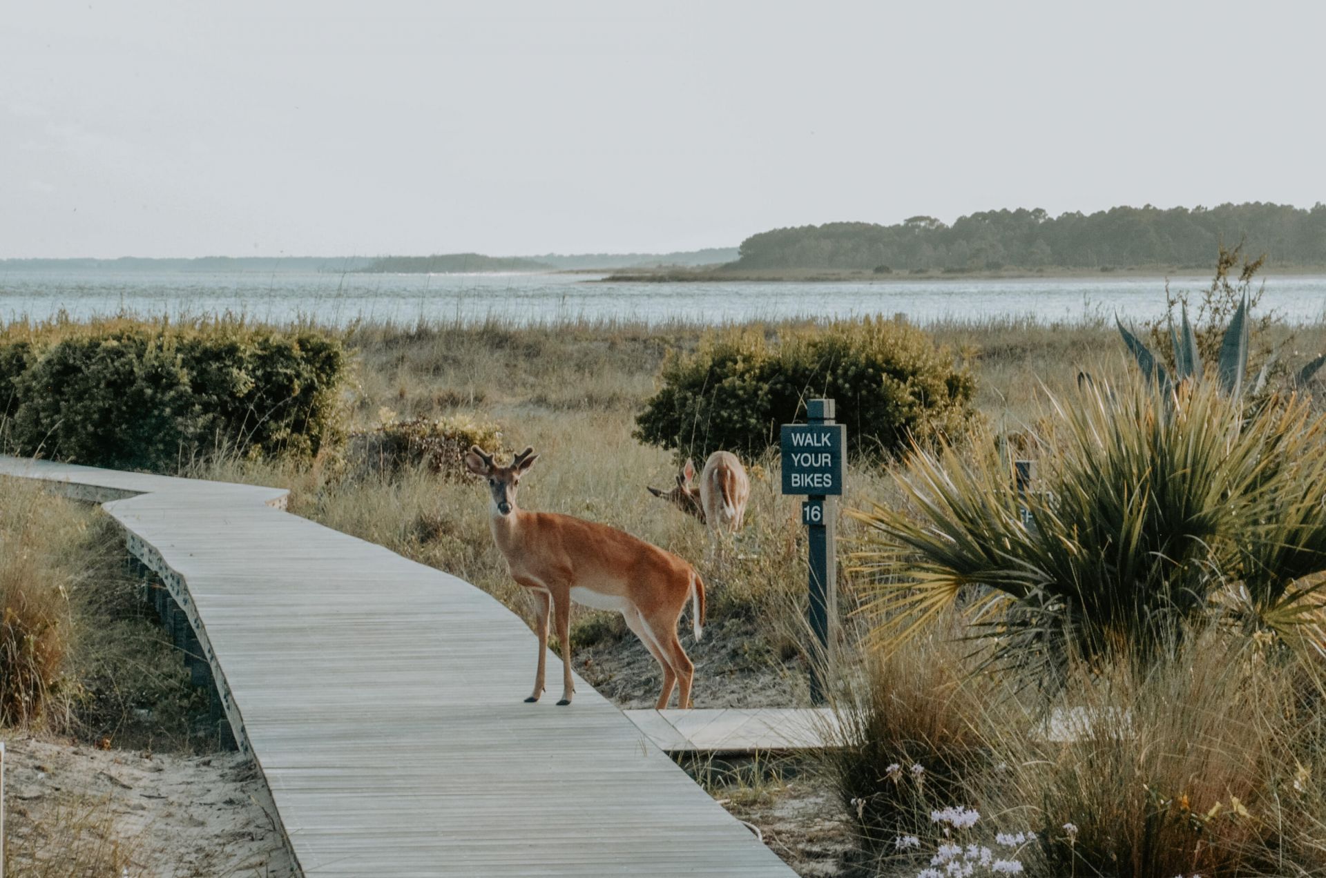 1391 Pelican Watch Villas Photo 27