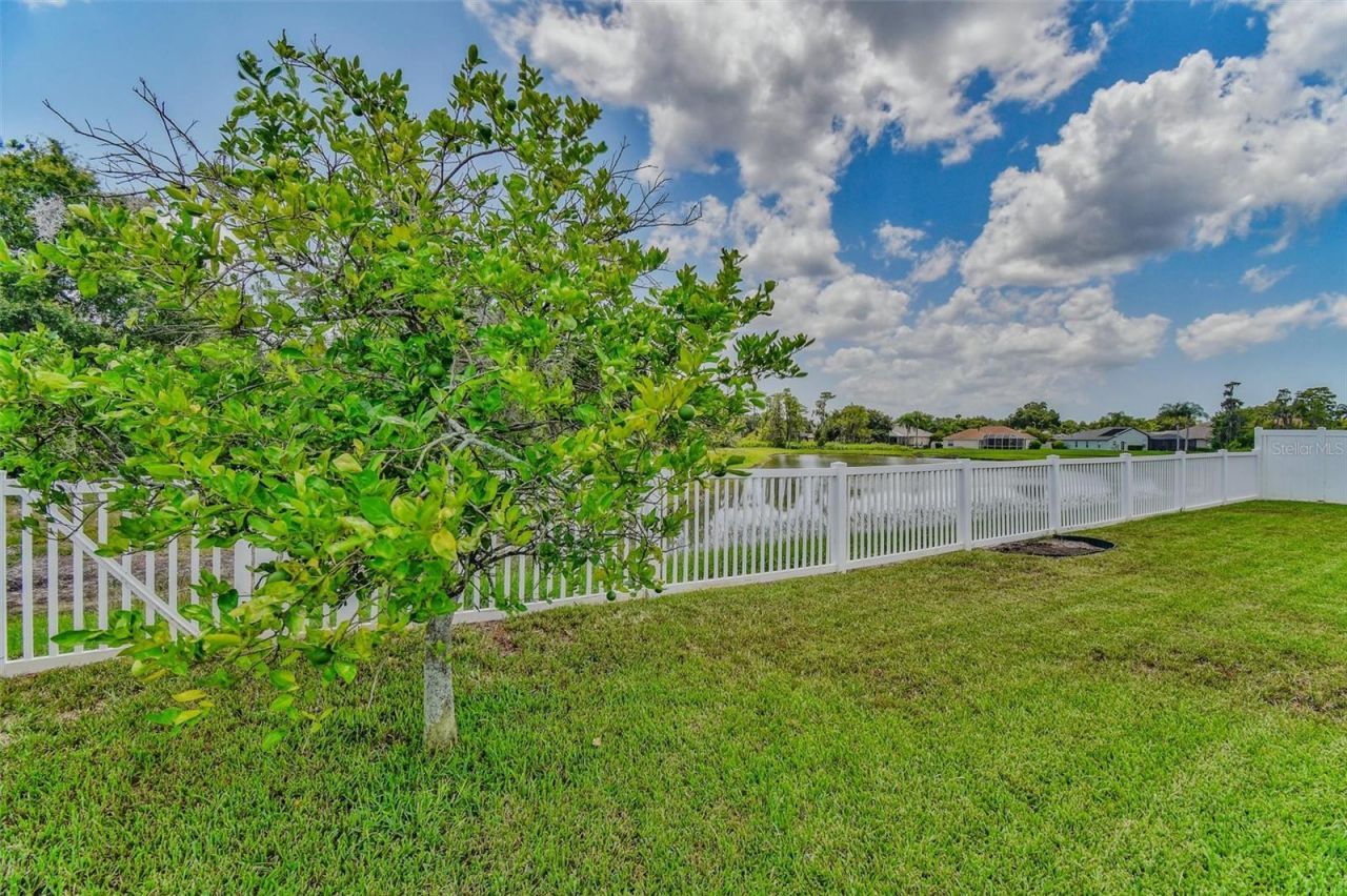 8706 Linebrook Drive, Trinity, FL 34655 Photo